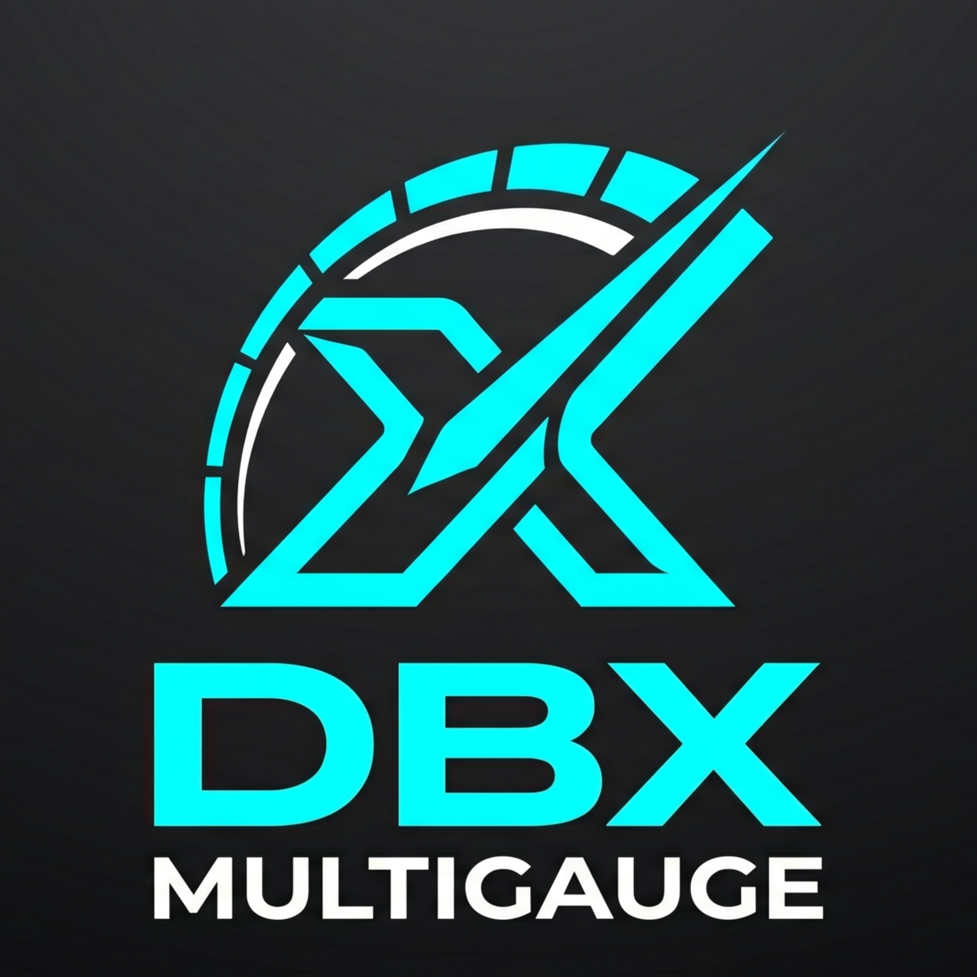 dbxmultigauge black